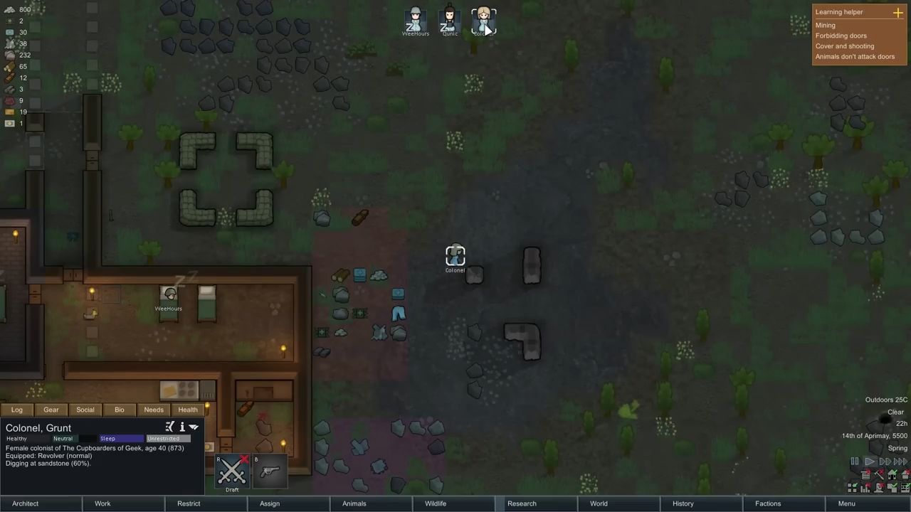 Rimworld Leathery Stranger Details